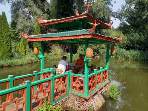 2025-09-09 041 (800x600)